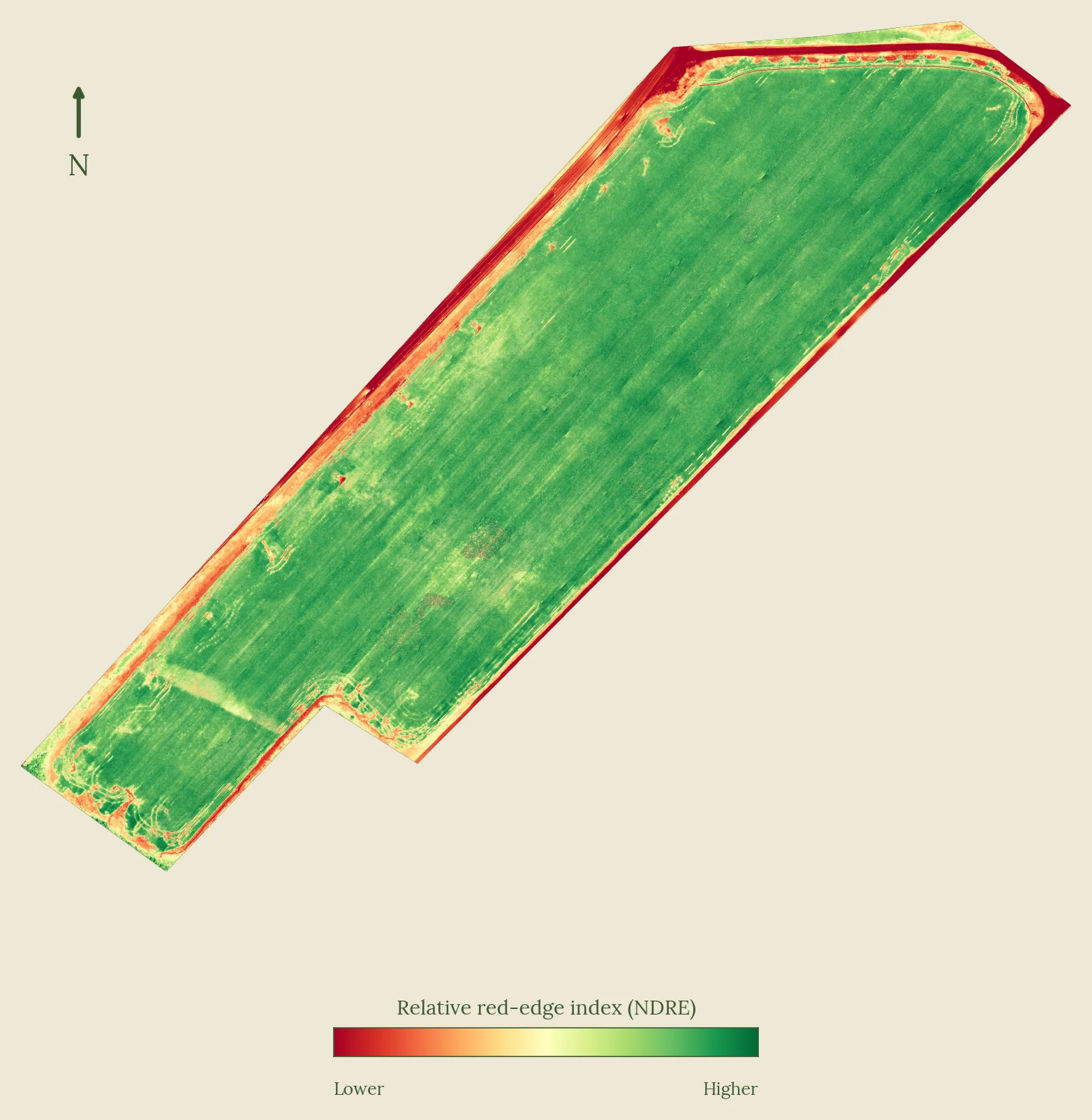 Relative NDRE map of the same soybean field showing normal within-field variation