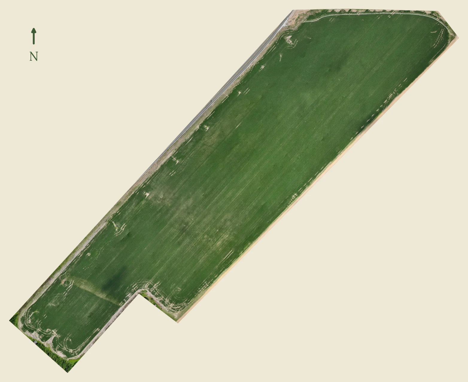 True color aerial map of a healthy soybean field, 70 days after planting
